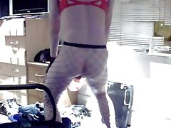 Webcam shemale in panties show