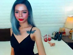 Amateur asian ladyboy solo on cam